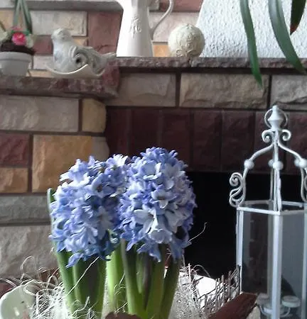 Patrycja Homestay *