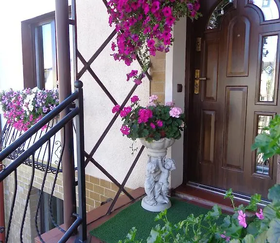 帕特里西亚民宿