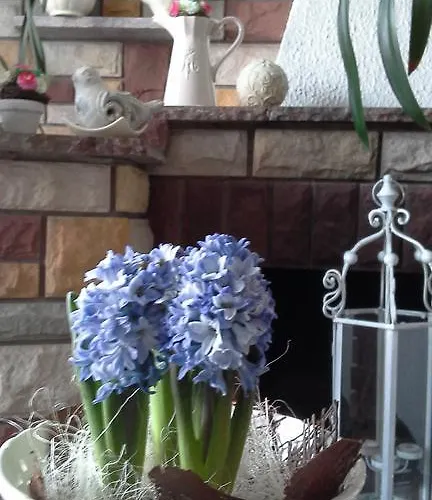 帕特里西亚民宿 民宿 *