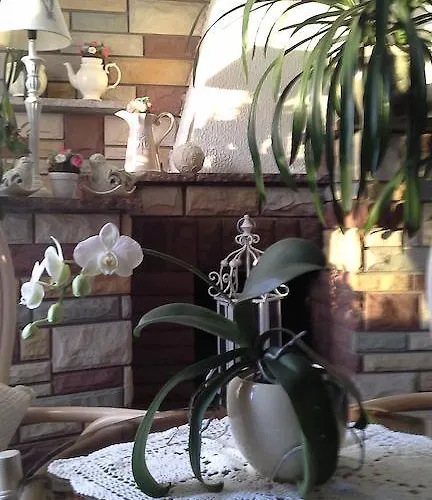 帕特里西亚民宿 莱鲍