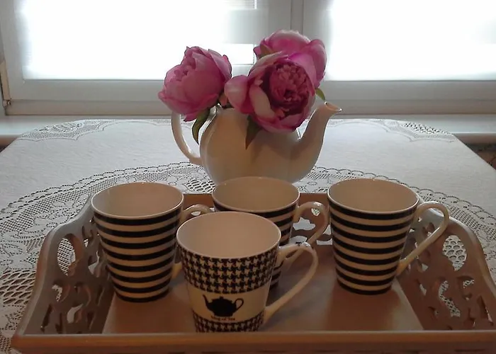 帕特里西亚民宿 民宿 *