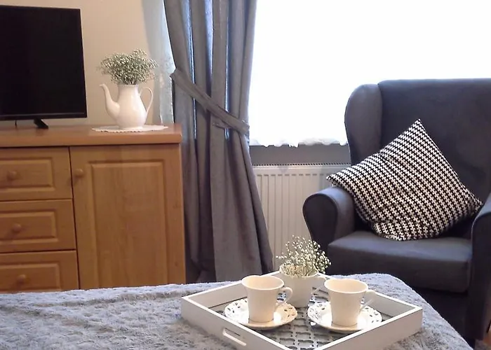 民宿 帕特里西亚民宿 *