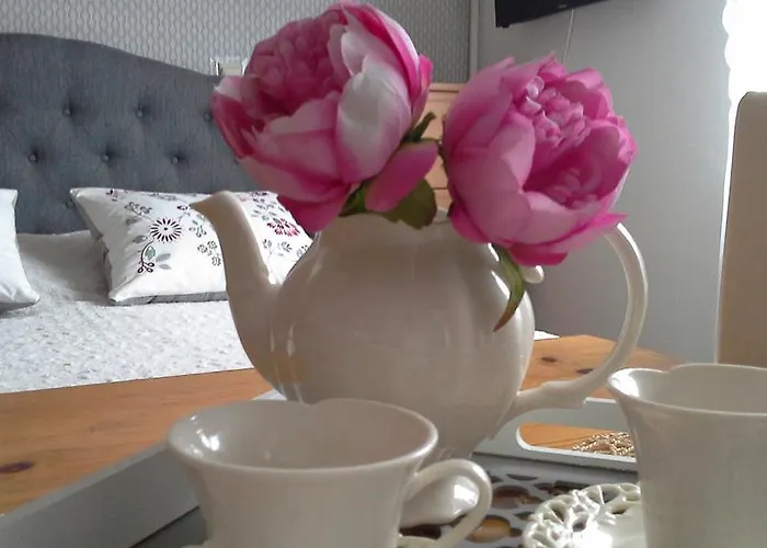 帕特里西亚民宿 民宿 *