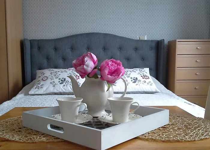 帕特里西亚民宿 *