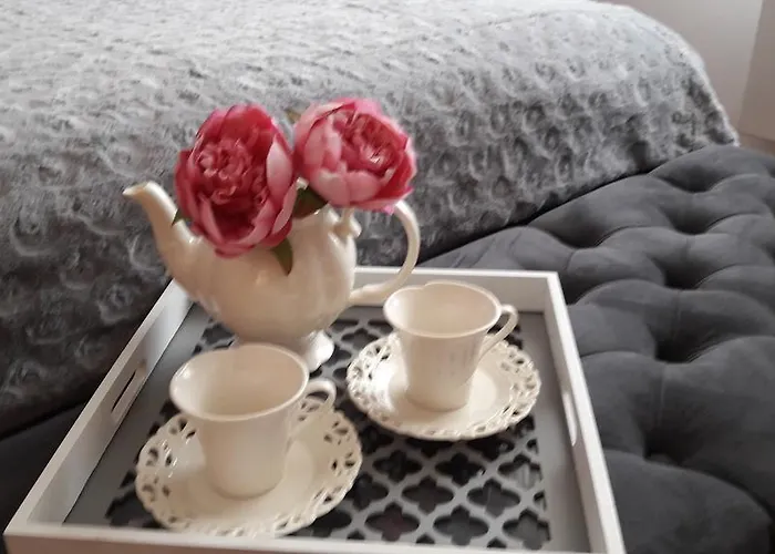 帕特里西亚民宿 * 莱鲍